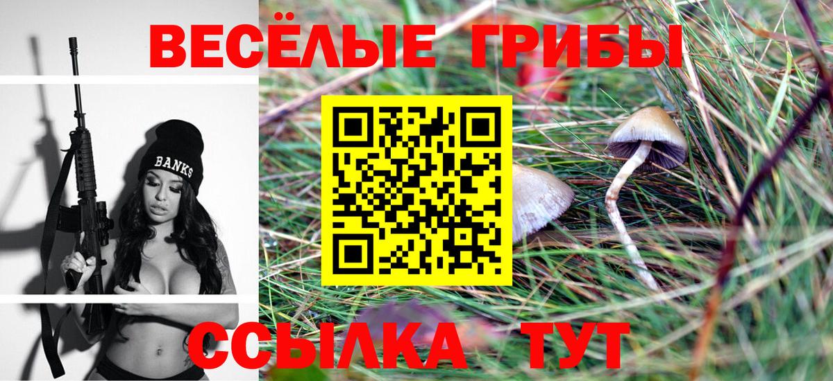 Псилоцибиновые грибы Psilocybe Волжский