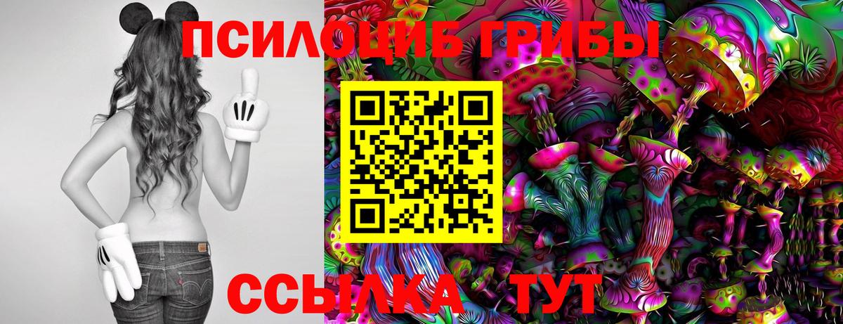 Псилоцибиновые грибы GOLDEN TEACHER  Вход с VPN  Волжский  Псилоцибиновые грибы Magic Shrooms 