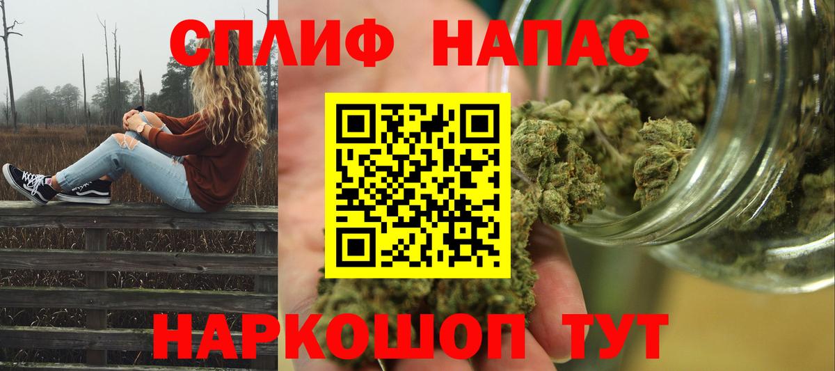 Бошки Шишки гибрид Волжский